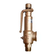 A28W Male Threaded Brass Safety Valve